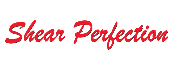 Logo for Shear Perfection Salon